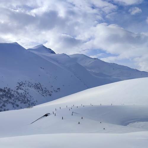 Photo #10036918