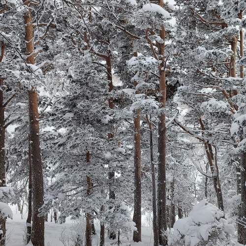 Photo #10036928