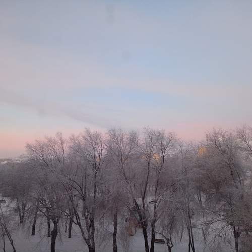 Photo #10037353