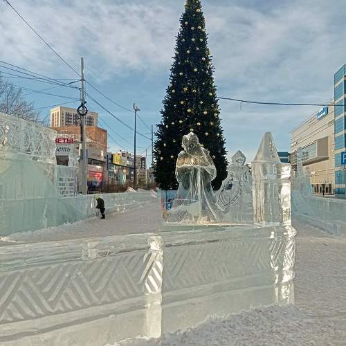 Photo #10037502