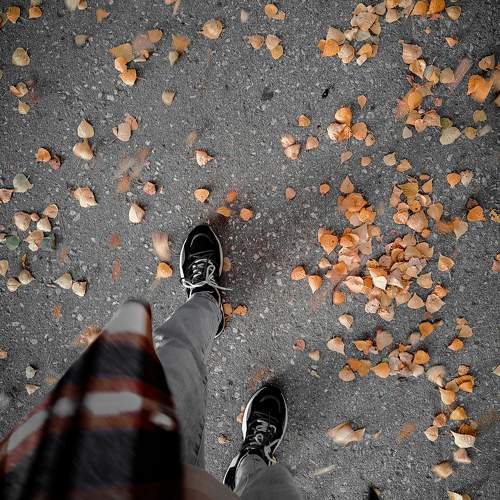 Photo #10037710