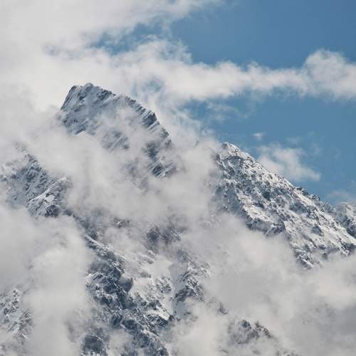 Photo #10037878
