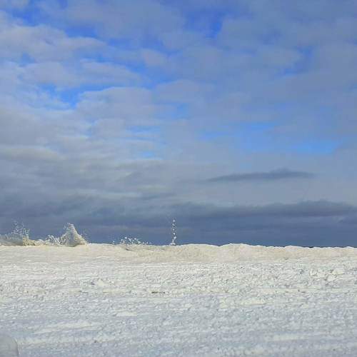 Photo #10038304
