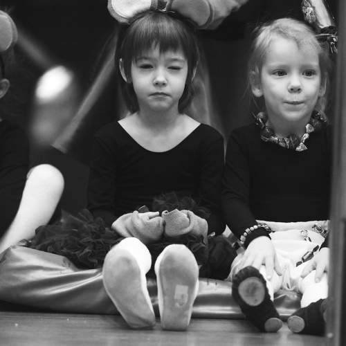 Photo #10038714