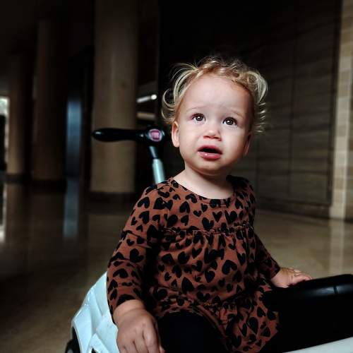 Photo #10038971