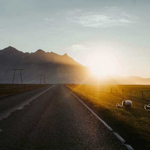 Photo #10039144