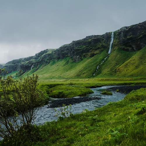 Photo #10039148