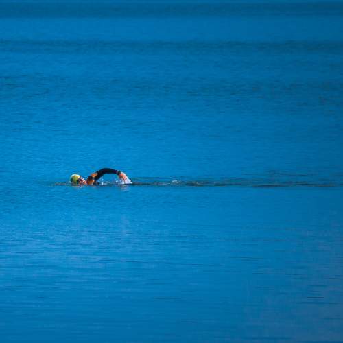 Photo #10039251