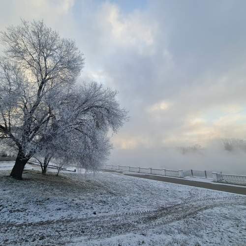 Photo #10039309