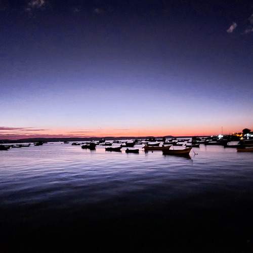 Photo #10039658