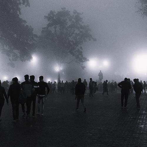 Photo #10039728