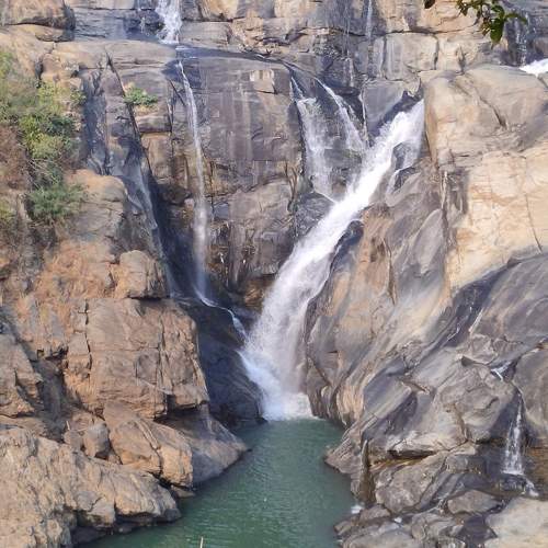 Photo #10039801