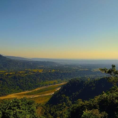 Photo #10039808