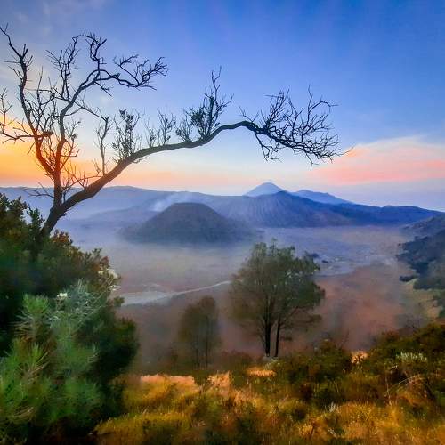 Photo #10039848