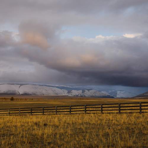 Photo #10040099