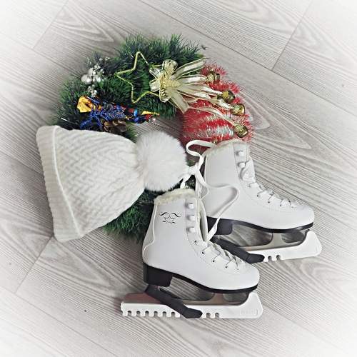 Photo #10040129