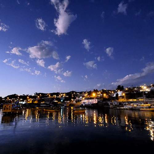 Photo #10040165