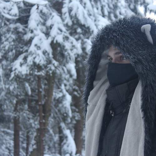 Photo #10040240
