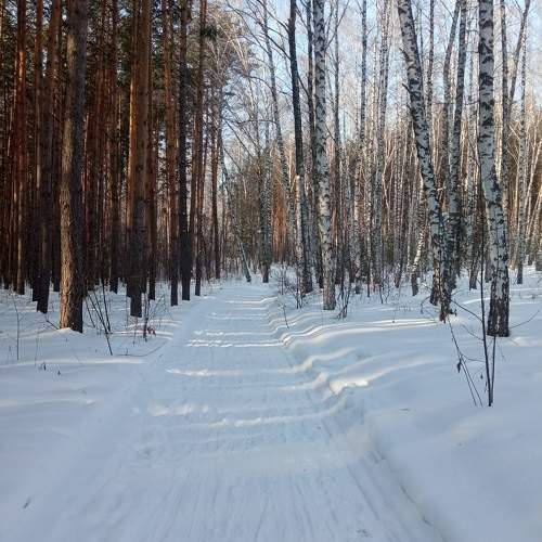 Photo #10040383