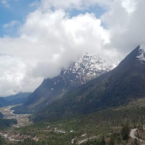 Photo #10040770