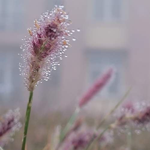 Photo #10040800