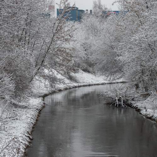 Photo #10041588