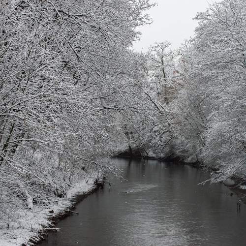 Photo #10041592