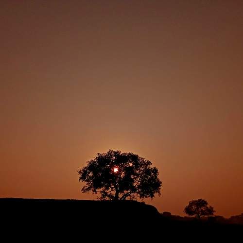 Photo #10041954
