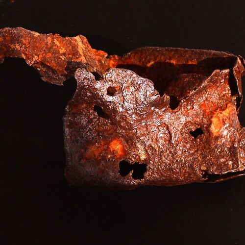 Photo #10041995