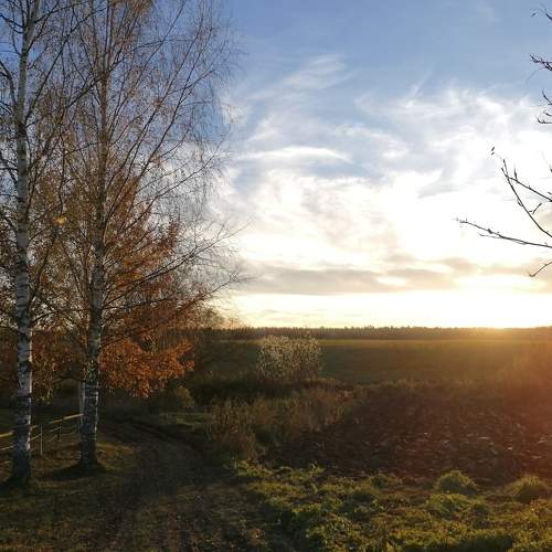 Photo #10042197