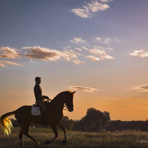 Photo #10042289