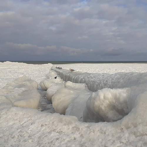 Photo #10042483