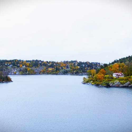 Photo #10042500