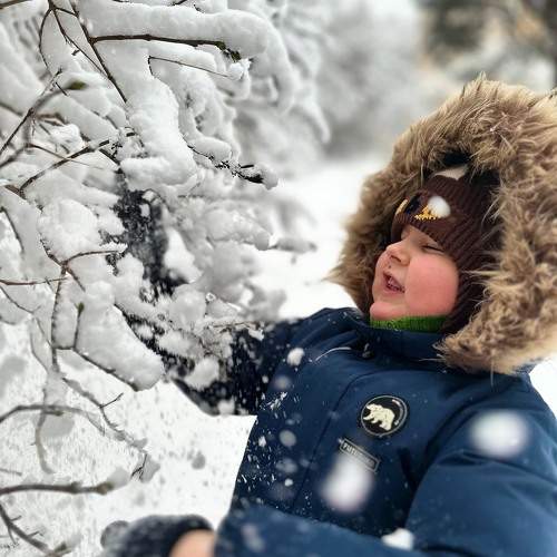 Photo #10042587