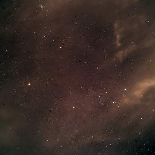 Photo #10042618