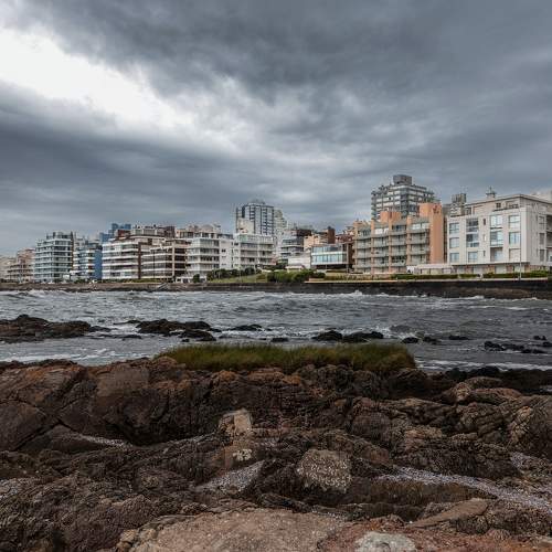 Photo #10042628