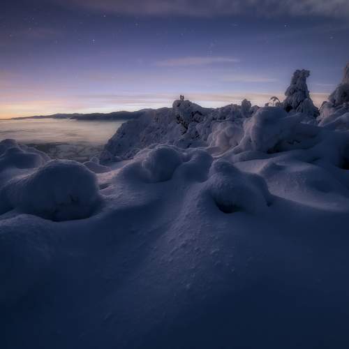 Photo #10042876