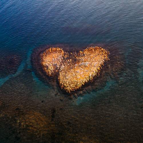 Photo #10043139