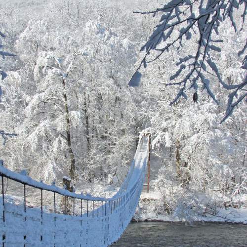 Photo #10043183
