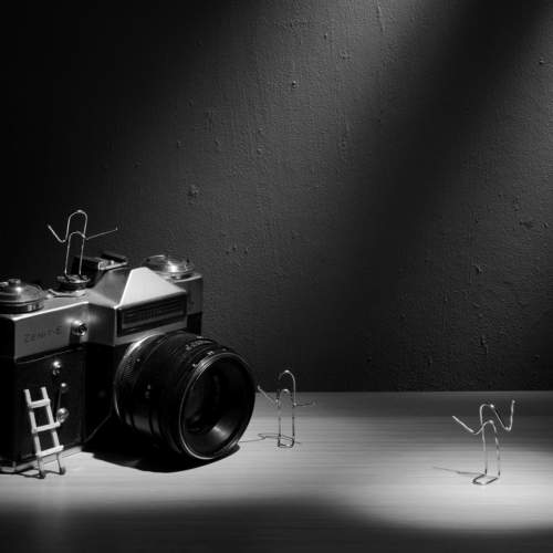 Photo #10043399