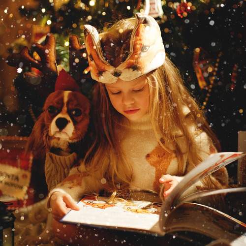 Photo #10043473