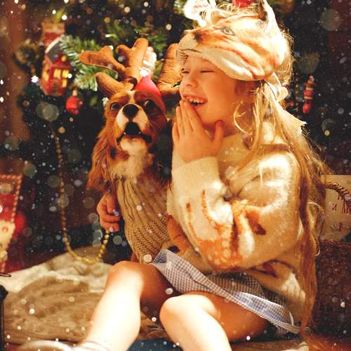 Photo #10043477