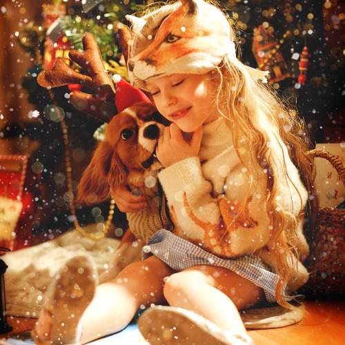 Photo #10043479