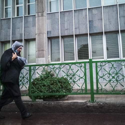 Photo #10043669