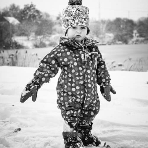 Photo #10043890