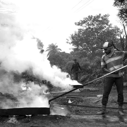 Photo #10044155