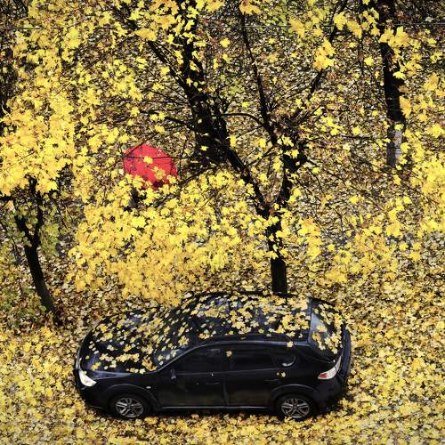 Photo #10044501