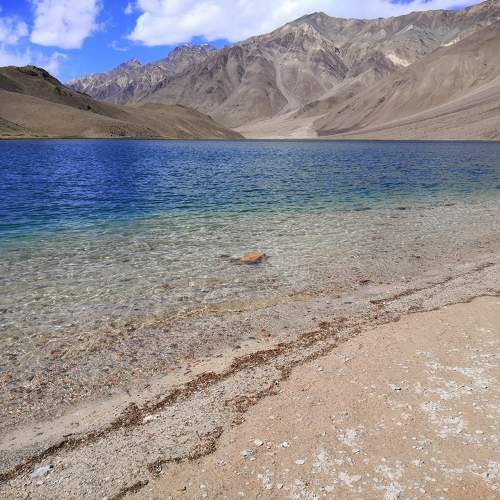 Photo #10044630