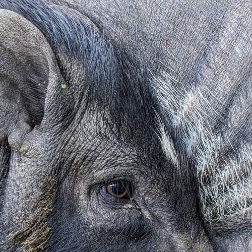 Photo #10044788