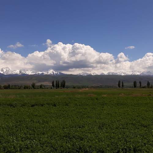 Photo #10044813